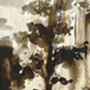 paesaggio pope singo