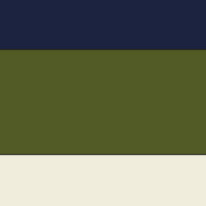 riga navylatteverde